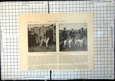 Antique old print for sale  UK
