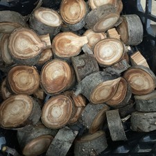 Peach wood chunks for sale  Burton