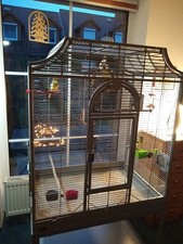Tausch vogelvoliere montana gebraucht kaufen  Sickte