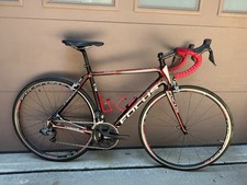 Focus cayo evo for sale  Charlotte