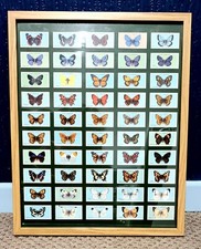 Set butterfly cigarette for sale  MOUNTAIN ASH