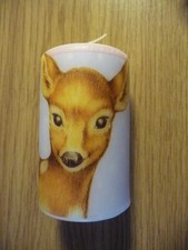 Deko kerze tiere gebraucht kaufen Deko kerze tiere gebraucht kaufen  Berlin