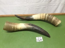 5284 vecchie corna usato  Malo
