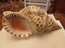 Lovely vintage triton for sale  WINCHESTER