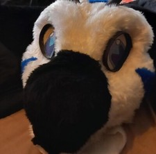 Fursuit head need for sale  COVENTRY