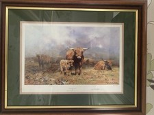 David shepherd highland for sale  HINCKLEY