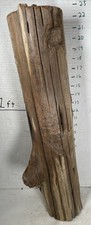 Driftwood cedar taxidermy for sale  Brookwood
