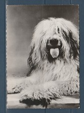 Cpsm 1960 nature d'occasion Cpsm 1960 nature d'occasion  Bourg-en-Bresse