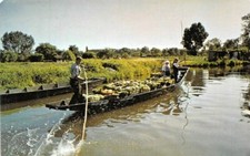 Amiens hortillonnages fête d'occasion  Rioz