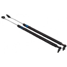Pistoncini molle gas usato  Pratola Peligna