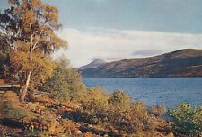 Loch rannoch perthshire for sale  WARWICK