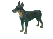 Doberman pinscher dog for sale  East Brunswick