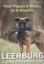 Puppy weeks months for sale  Tampa