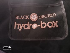 Black orchid grow for sale  LONDONDERRY
