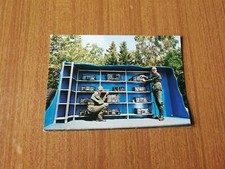 1985 scuola trasmissioni usato  Roma