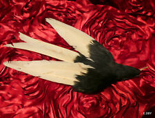 Ancienne hirondelle plume d'occasion  Six-Fours-les-Plages