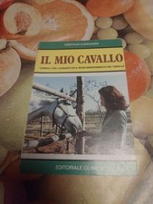 Mio cavallo cristiano usato  Colli Verdi