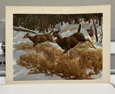 Vintage deer wildlife for sale  Philadelphia