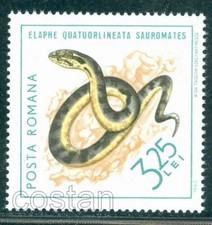 1965 reptiles the d'occasion  Expédié en Belgium