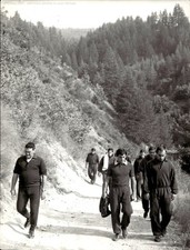 Originale agenzia torino usato  Italia
