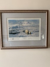 Ice wilderness david for sale  HEMEL HEMPSTEAD