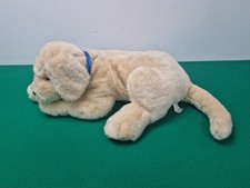 Andrex puppy labrador for sale  LEOMINSTER