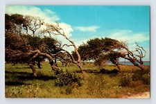 Postcard texas gulf for sale  Elk Grove
