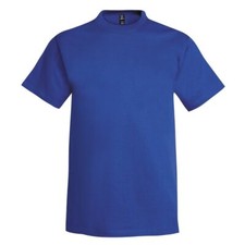 Hanes usa beefy for sale  GODALMING