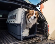Henry wag air for sale  COLEFORD