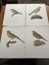 Lot antique bird for sale  HARTLEPOOL