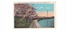 Japanese cherry blossoms for sale  Barry