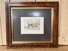 Framed mounted whippet for sale  SOLIHULL