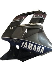 Yamaha fzr 1000 gebraucht kaufen  Freystadt