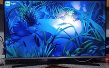 Samsung pollici usato  Carmagnola