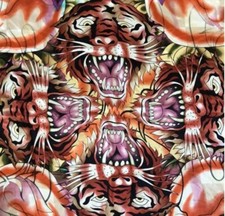 Hardy christian audigier for sale  Monee