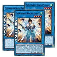 Shinobaron shade peacock usato Shinobaron shade peacock usato  Ravenna