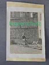 Riginal foto junge gebraucht kaufen  Deutschland