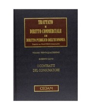The interpretation statutes gebraucht kaufen  Trebbin