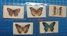 Butterflies moth tobacco for sale  Norristown
