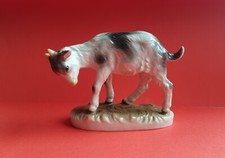 Nymphenburg kid goat for sale  WIGAN