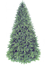 Albero poly groden usato  Roma