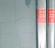 Carteggio verdi boito. usato  Italia