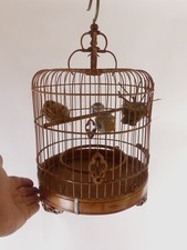 Chinesischer vogelkäfig bambu gebraucht kaufen  Krefeld