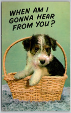 Dog wire fox for sale  Montgomery