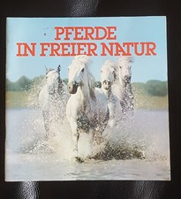 Pferde freier natur gebraucht kaufen  Bremen