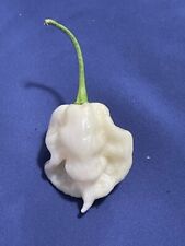 plants kinds 100 for sale plants kinds 100 for sale Strawberry Plains