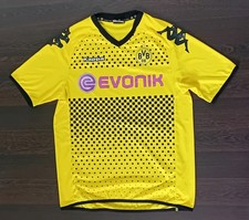 Bvb borussia dortmund gebraucht kaufen  Pegnitz