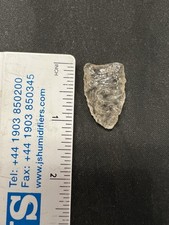 North carolina clovis for sale  Burlington