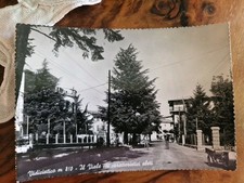 Cartolina vidiciatico viale usato  Bologna