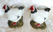 sussex hatching eggs for sale sussex hatching eggs for sale NORTHAMPTON